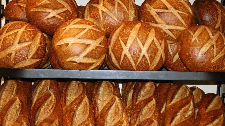 bread in bakery