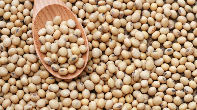 close-up of soybeans