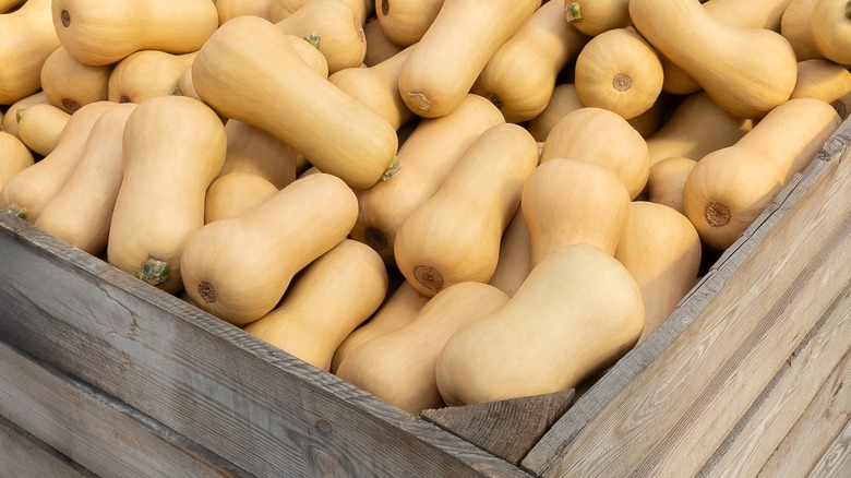 crate of butternut squash