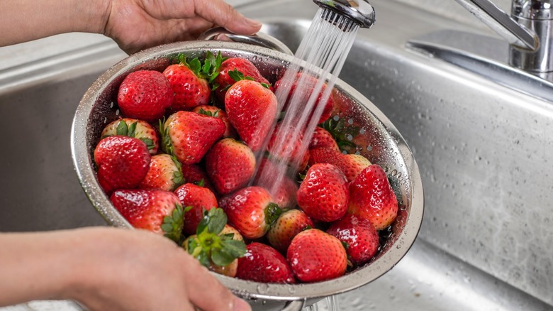 person washing strawberries