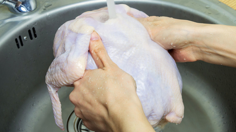 Person washing raw turkey in the sink