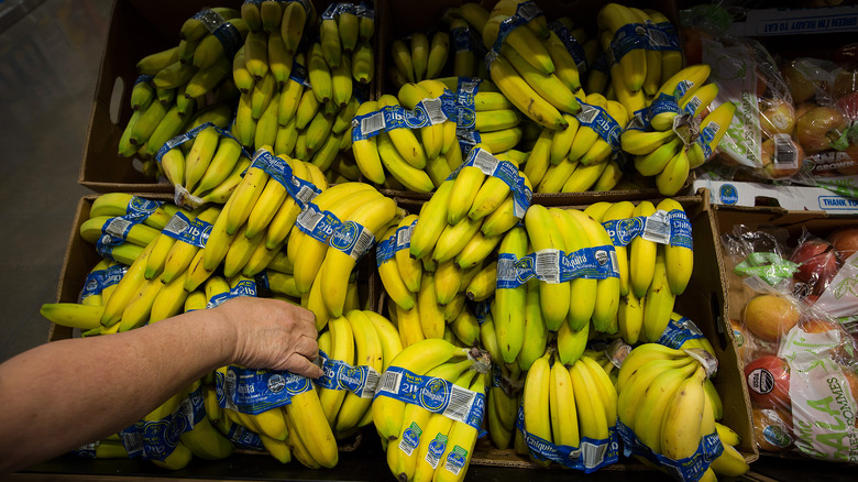 Bananas in produce section at Aldi