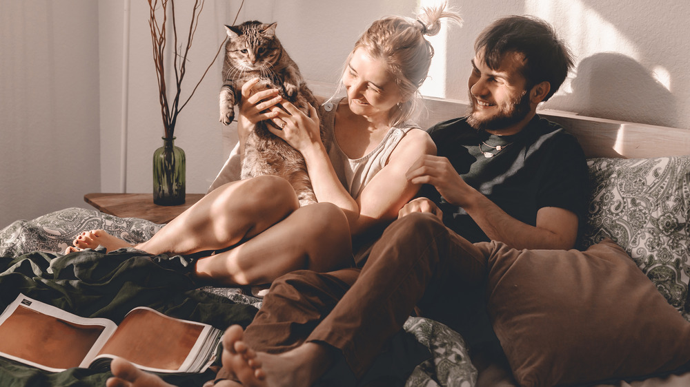 man and woman on a bed, playing with a cat