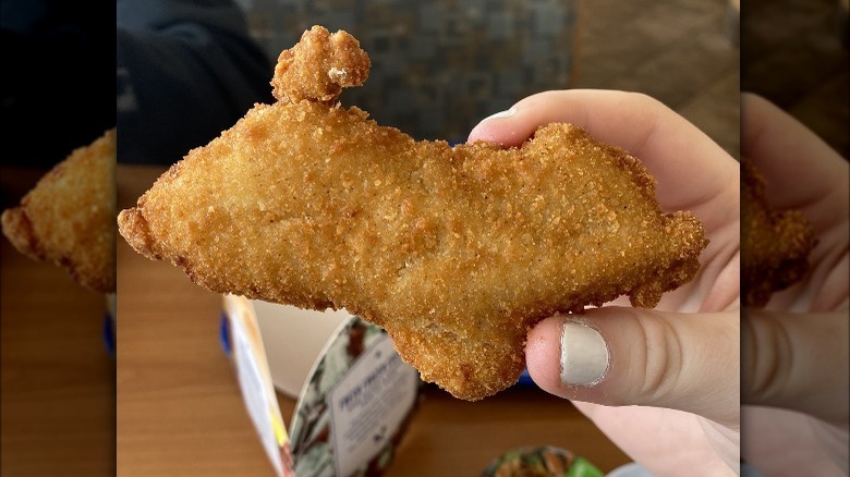 Hand holding Culver's chicken piece