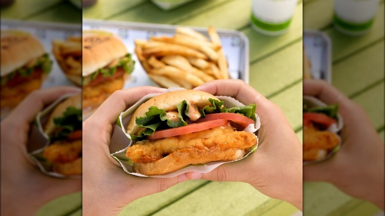 Person holding breaded chicken sandwich