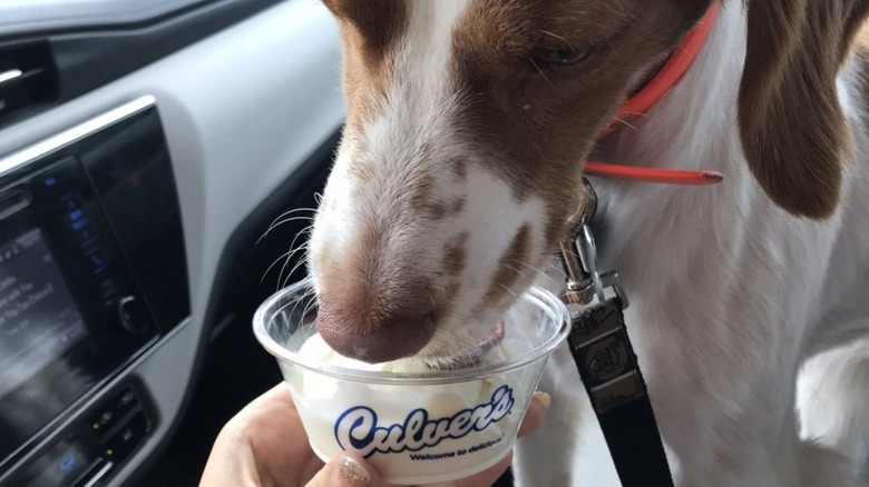 Culver's