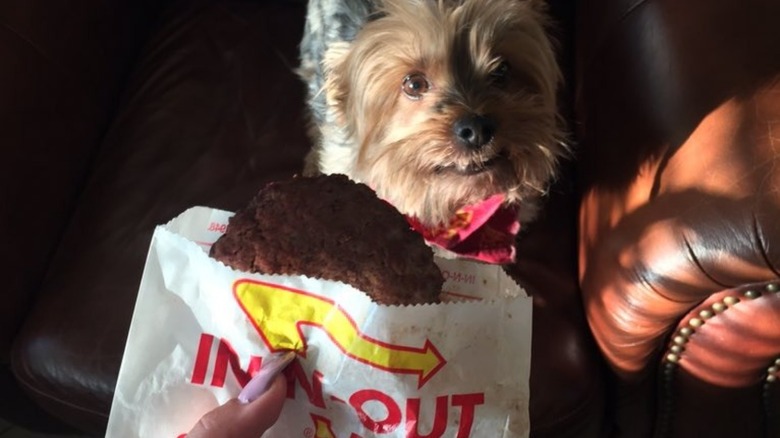 In-N-Out dog patty