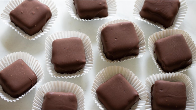 chocolate covered cheesecake bites