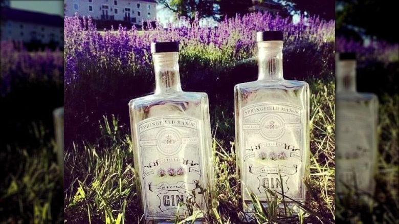 Springfield Manor Lavender Gin bottles outside