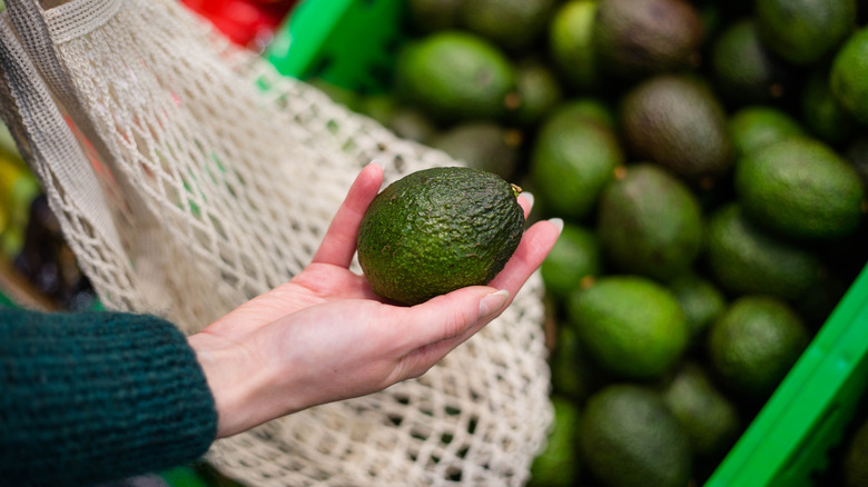 Hand holding an avocado