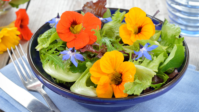 13 Flowers You Can Eat From Your Garden