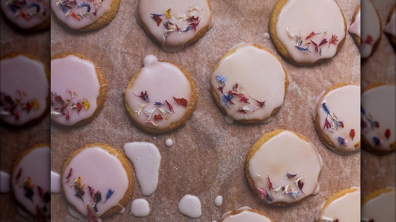 lavender sables