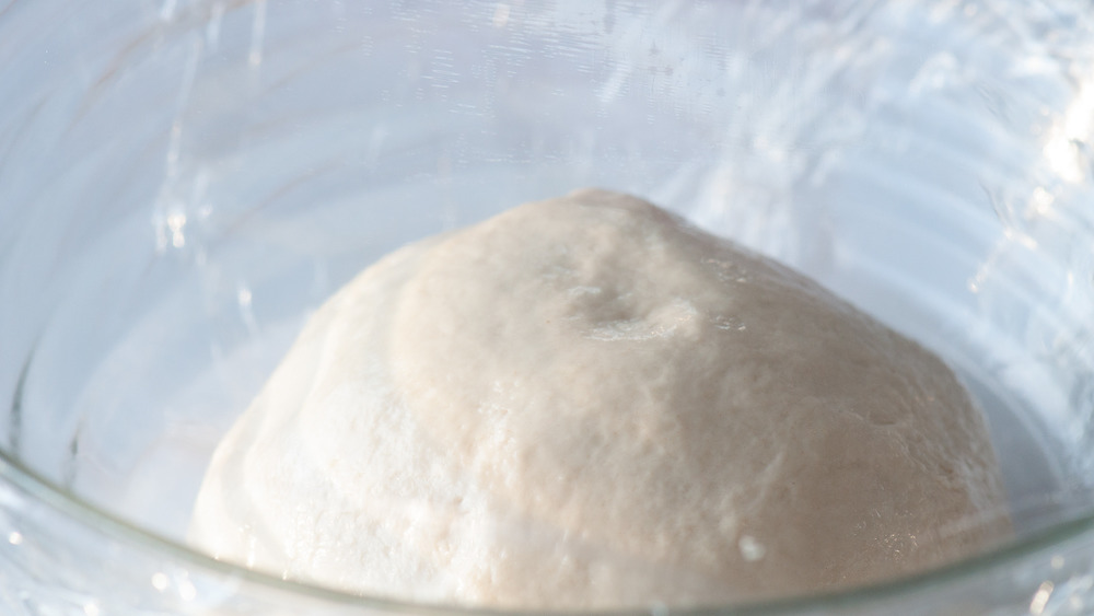 rising dough of focaccia bread