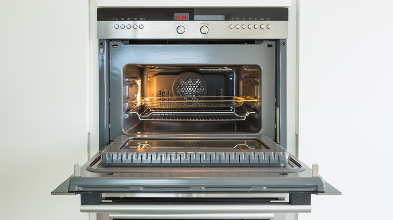 Oven with door open