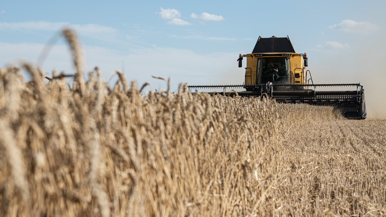 Tractor plowing wheat field in Ukraine