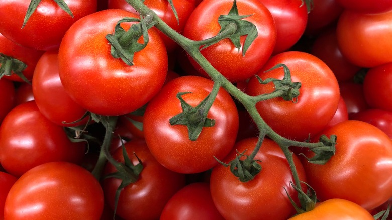 fresh tomatoes on the vine