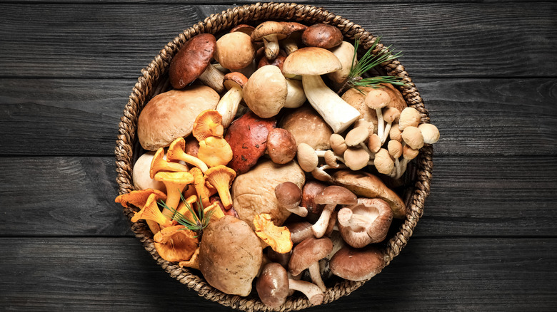 Varieties of mushrooms