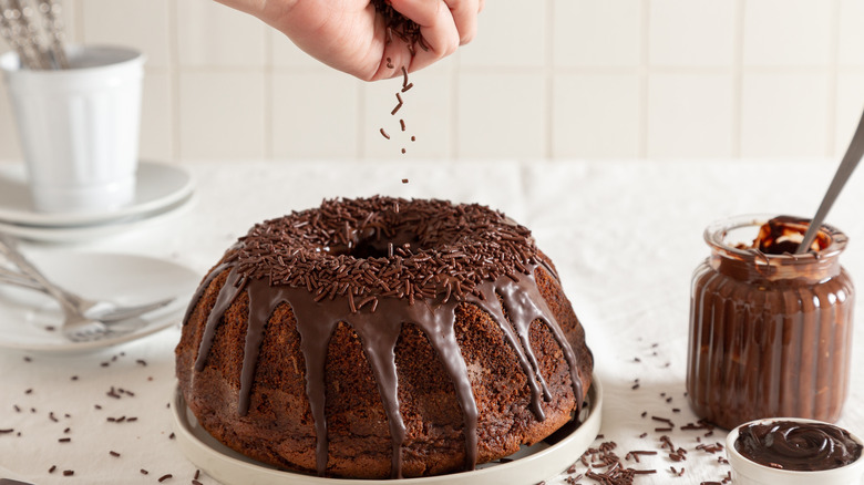 chocolate bundt cake with sprinkles