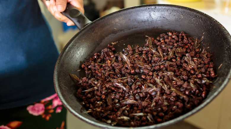 Bugs in a pan