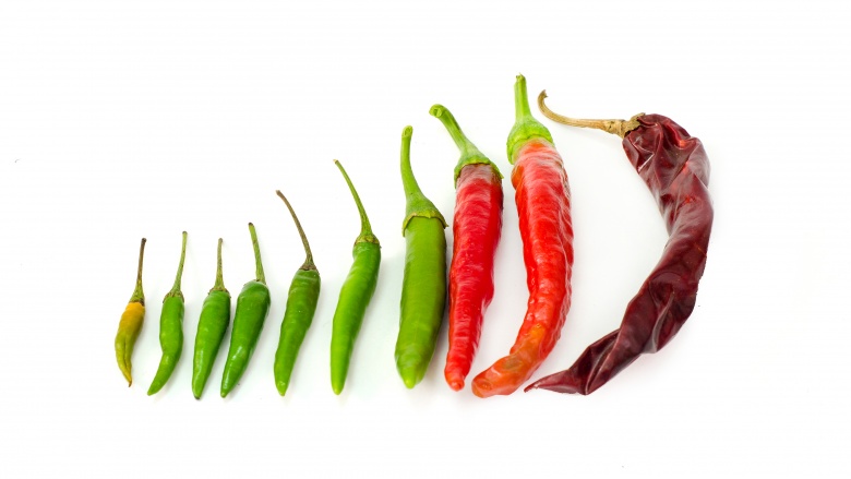 Chili peppers