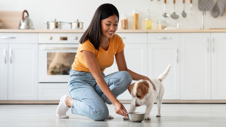 woman feeding dog