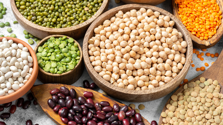 legume varietals