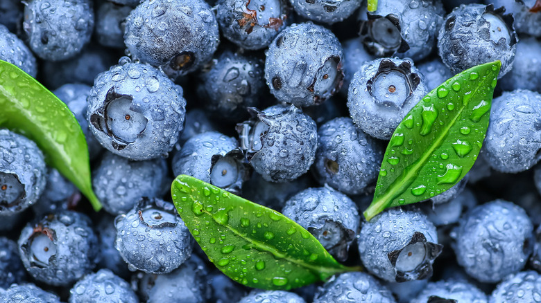 rinsed blueberries