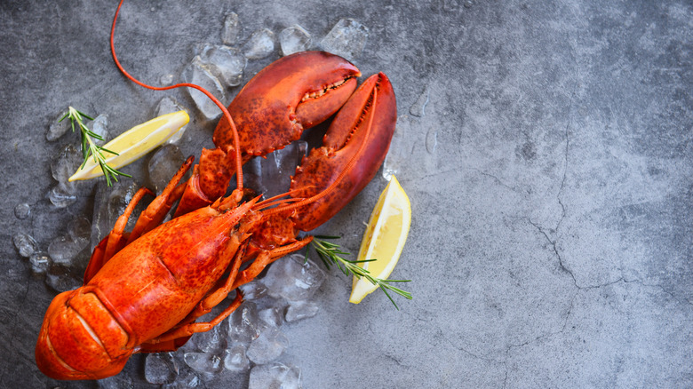 lobster with lemon wedges