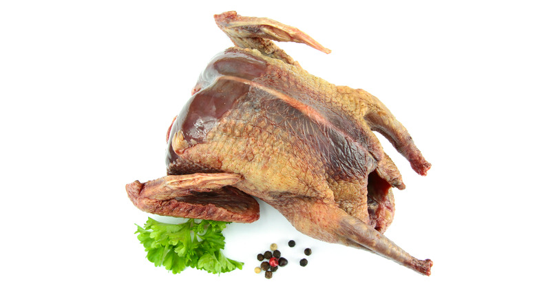 raw squab on white background