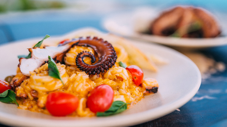 Octopus risotto on plate