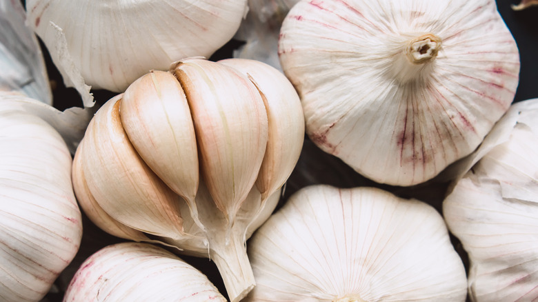 Several bulbs of garlic