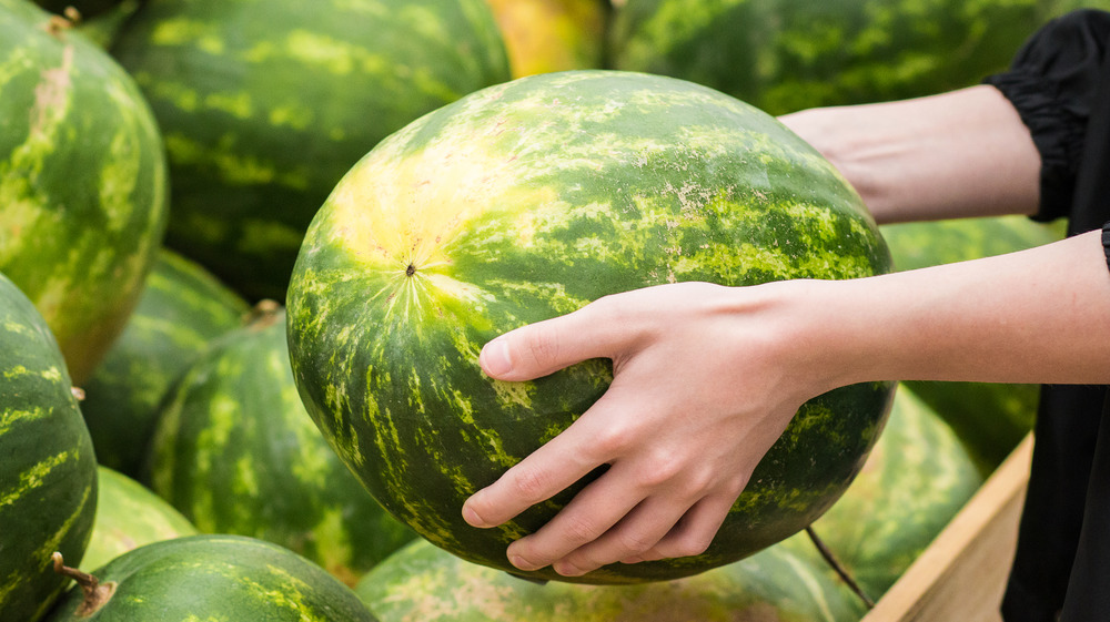 Person picking up watermelon