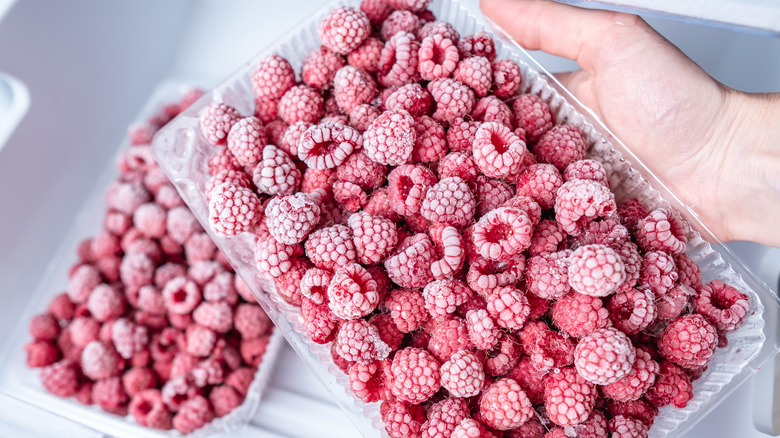 A hand holding frozen raspberries in a plastic container