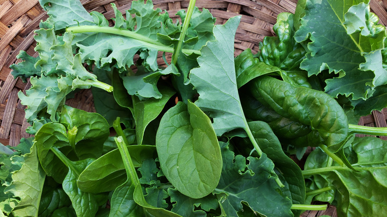 Fresh spinach and kale in a woven dish