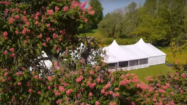 Bake off tent