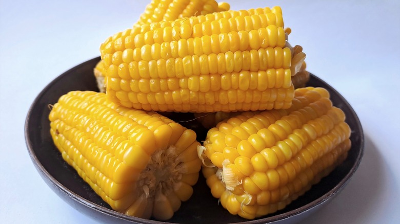 Plate Of Corn