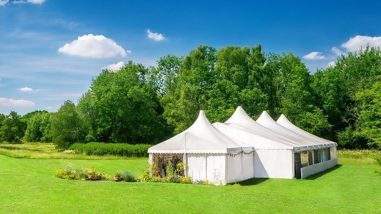 Great british bake off tent