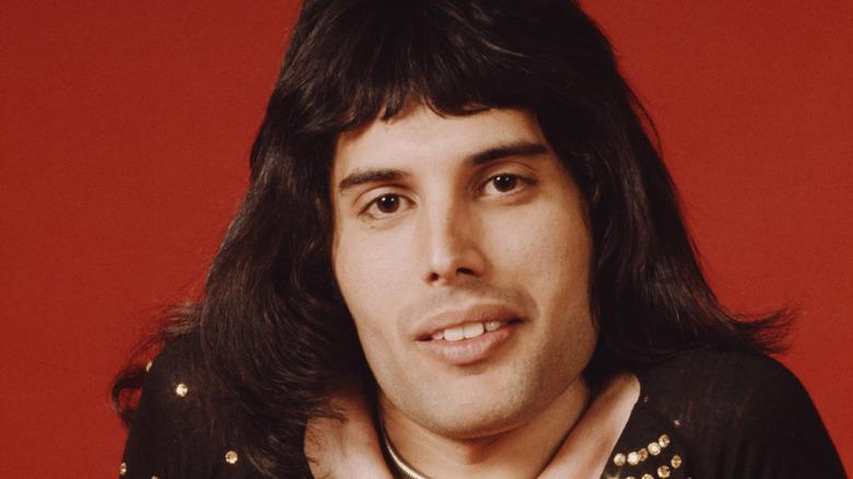 Freddie Mercury long hair