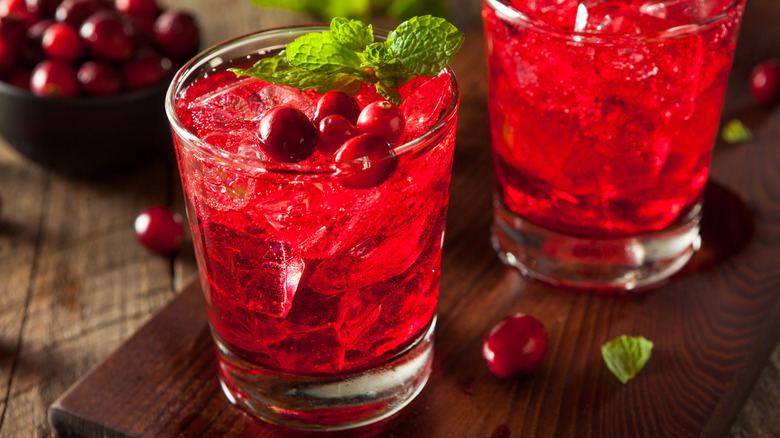 cranberry vodka cocktails with mint