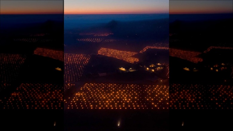 fires in the French vineyards to stave off frost