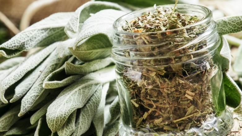 Dried sage in a jar in front of a bundle of fresh sage leaves