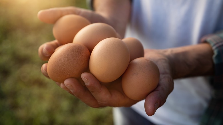 man holding brown eggs