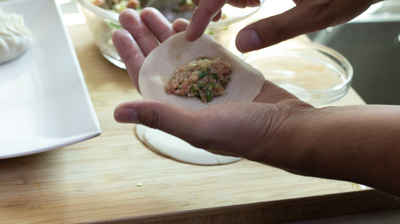 Pork Gyoza scoop