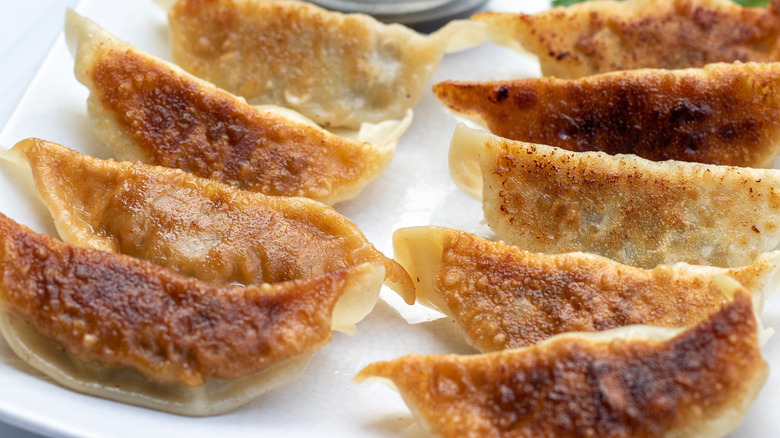 Pork Gyoza on plate