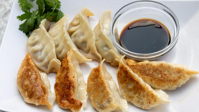 Pork Gyoza plated 