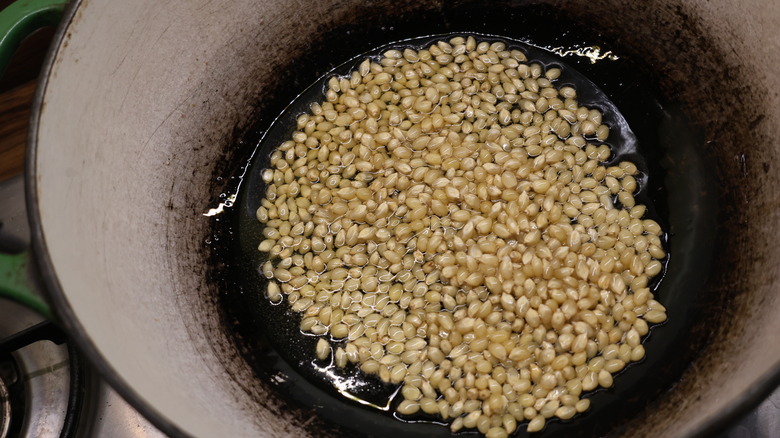 unpopped pocorn kernels in oil at the bottom of a dutch oven