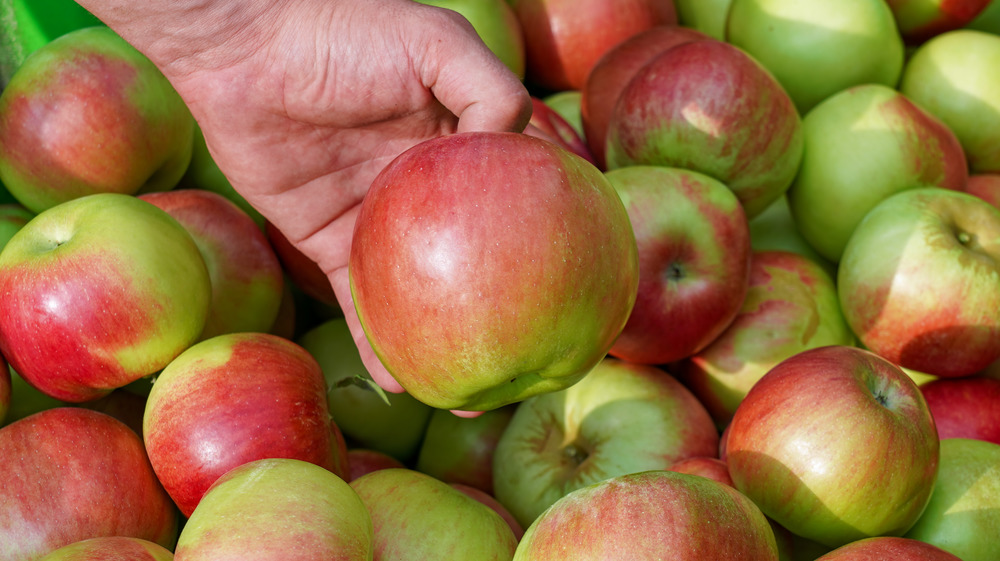 Hand picking up an apple from a pile