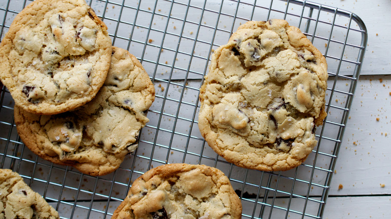 Chocolate chip cookies on cooling rack