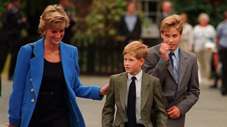 William and Harry with Princess Diana