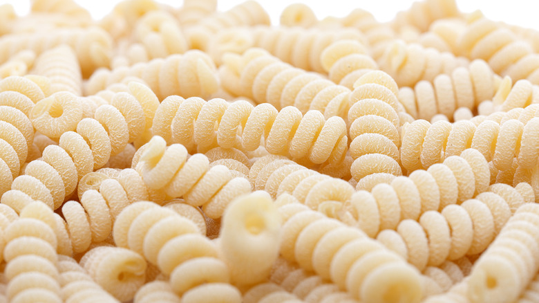 Close-up of Bucati fusilli